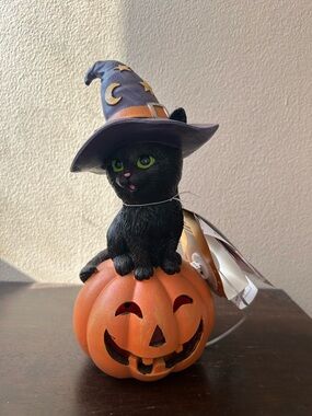 New Halloween LED Light Up Witch Cat On Pumpkin Figurine kitty black new 10”
